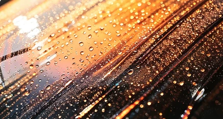 Window Film Window Film